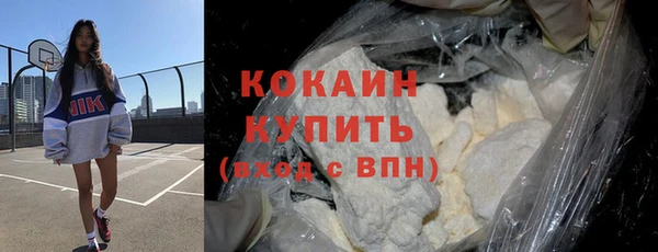 стаф Бородино