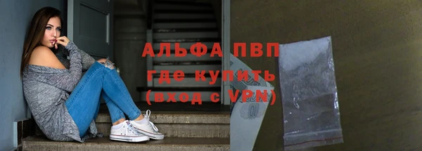 стаф Бородино