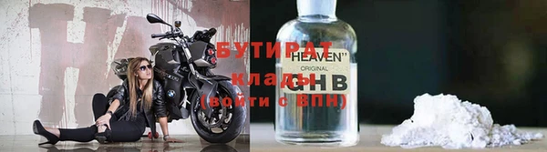 стаф Бородино