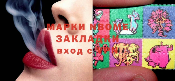 стаф Бородино