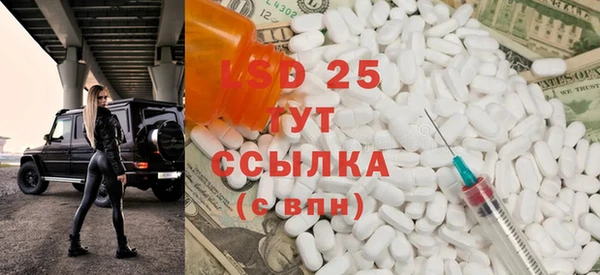 стаф Бородино
