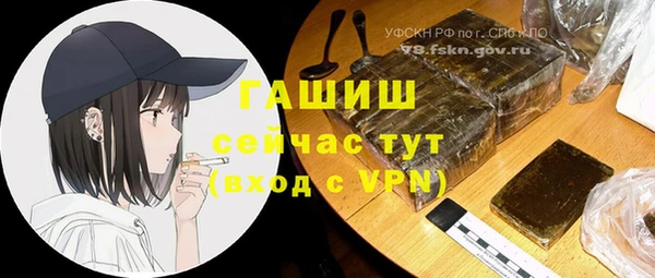 стаф Бородино